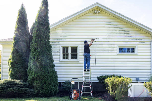 Best Roof Washing  in Lucerne, CA